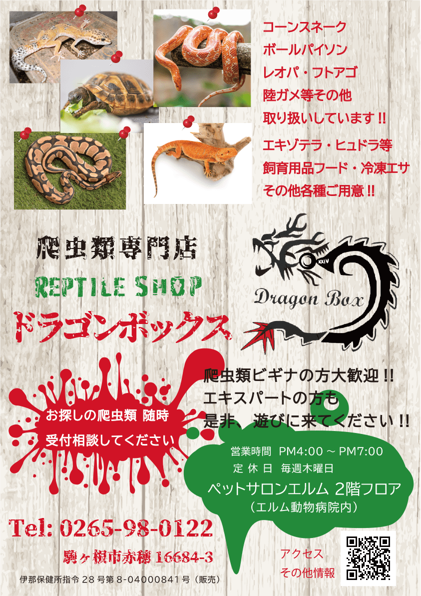 爬虫類専門店 ドラゴンボックス Tel.0265-98-0122