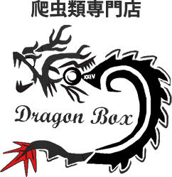 爬虫類専門店 Dragon Box