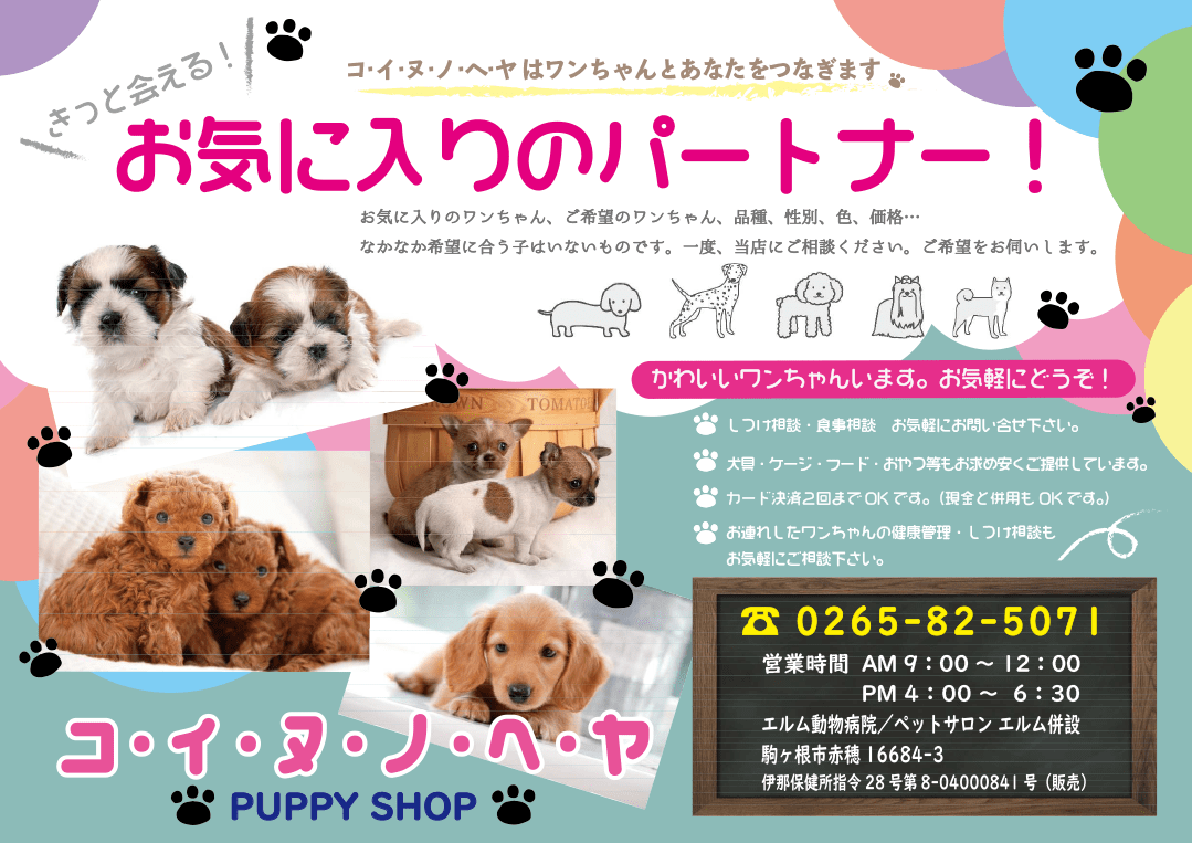 コ・イ・ヌ・ノ・ヘ・ヤ PUPPY SHOP Tel.0265-82-5071